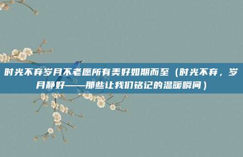 时光不弃岁月不老愿所有美好如期而至(时光不弃,岁月静好——那些让我们铭记的温暖瞬间)