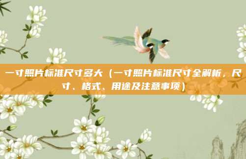 一寸照片标准尺寸多大(一寸照片标准尺寸全解析,尺寸、格式、用途及注意事项)