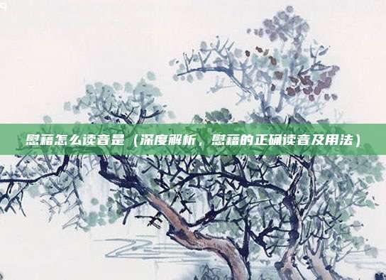 慰藉怎么读音是(深度解析,慰藉的正确读音及用法)
