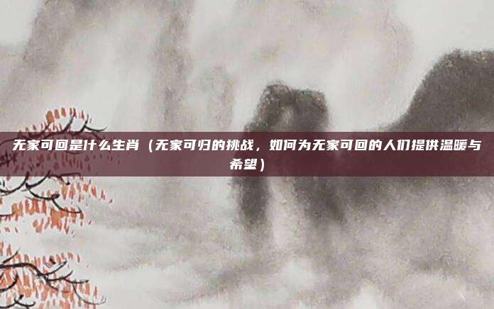 无家可回是什么生肖(无家可归的挑战,如何为无家可回的人们提供温暖与希望)