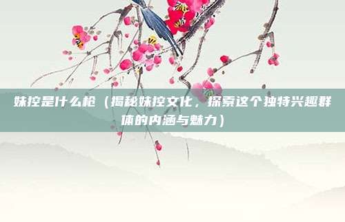 妹控是什么枪(揭秘妹控文化,探索这个独特兴趣群体的内涵与魅力)