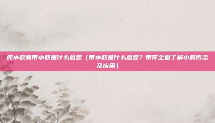 纯小数和带小数是什么意思(带小数是什么意思?带你全面了解小数概念及应用)