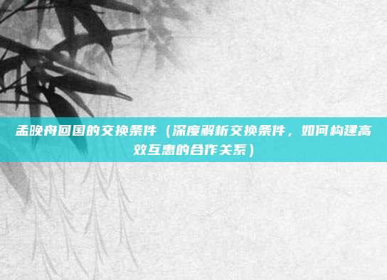 孟晚舟回国的交换条件(深度解析交换条件,如何构建高效互惠的合作关系)