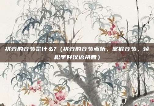 拼音的音节是什么?（拼音的音节解析，掌握音节，轻松学好汉语拼音）