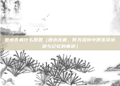 逝水无痕什么意思(逝水无痕,时光流转中的生命轨迹与记忆的痕迹)