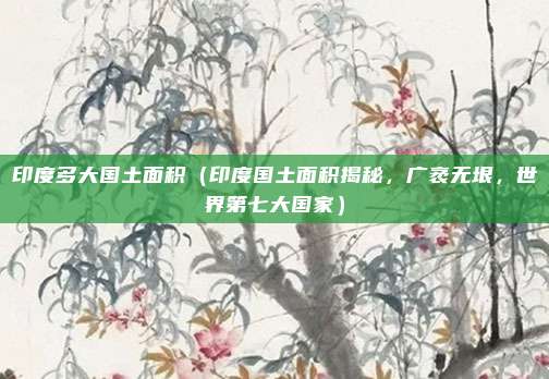 印度多大国土面积(印度国土面积揭秘,广袤无垠,世界第七大国家)