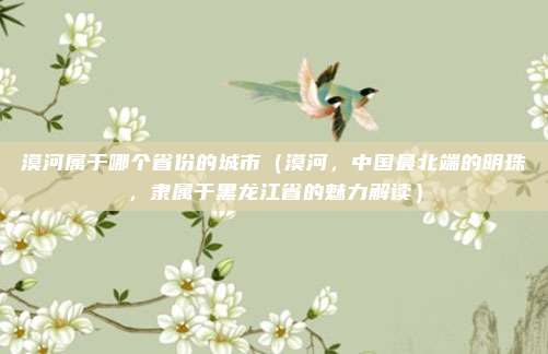 漠河属于哪个省份的城市(漠河,中国最北端的明珠,隶属于黑龙江省的魅力解读)