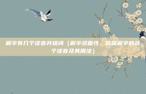 解字有几个读音并组词(解字多面性,揭秘解字的多个读音及其用法)