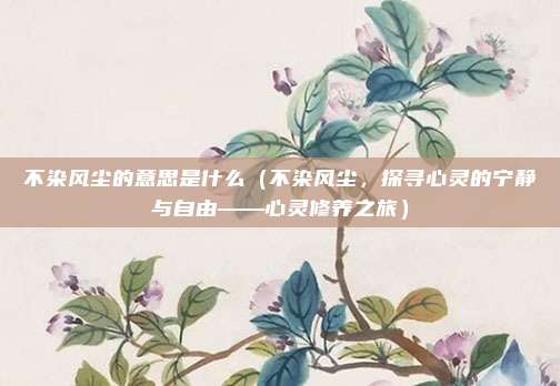 不染风尘的意思是什么(不染风尘,探寻心灵的宁静与自由——心灵修养之旅)