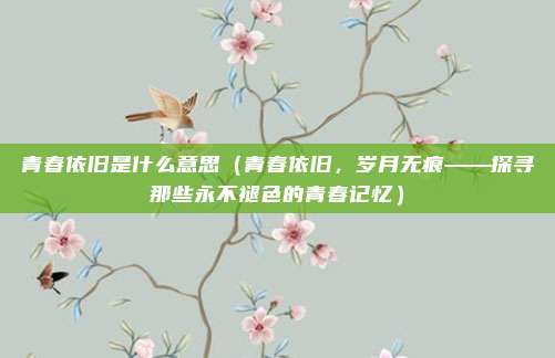 青春依旧是什么意思(青春依旧,岁月无痕——探寻那些永不褪色的青春记忆)