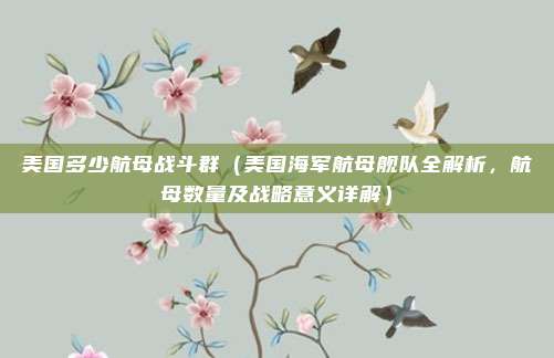 美国多少航母战斗群(美国海军航母舰队全解析,航母数量及战略意义详解)