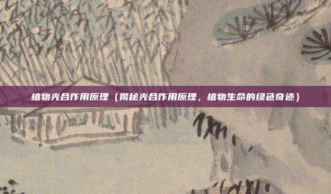 植物光合作用原理(揭秘光合作用原理,植物生命的绿色奇迹)
