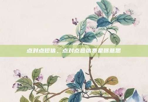 点对点短信，点对点短信费是啥意思