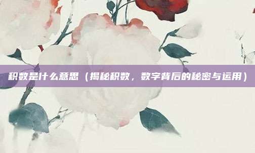 积数是什么意思(揭秘积数,数字背后的秘密与运用)