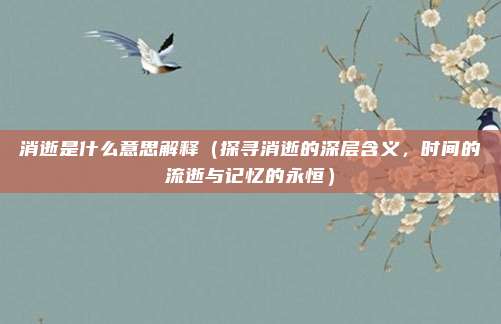 消逝是什么意思解释(探寻消逝的深层含义,时间的流逝与记忆的永恒)