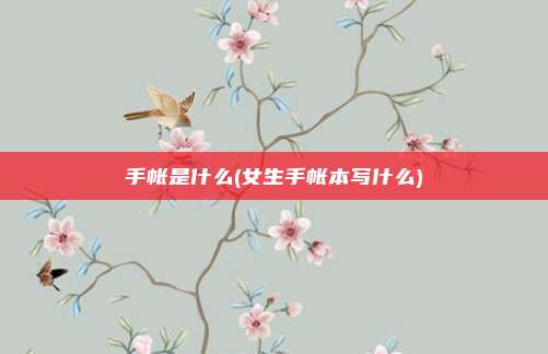 手帐是什么(女生手帐本写什么)
