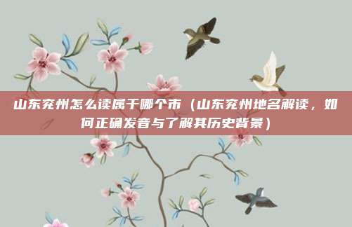 山东兖州怎么读属于哪个市(山东兖州地名解读,如何正确发音与了解其历史背景)