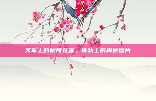 火车上的厕所在哪,铁轨上的粪便图片