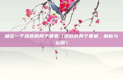 确定一个函数的两个要素(函数的两个要素,解析与运用)