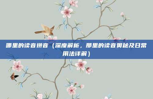 哪里的读音拼音(深度解析,那里的读音奥秘及日常用法详解)
