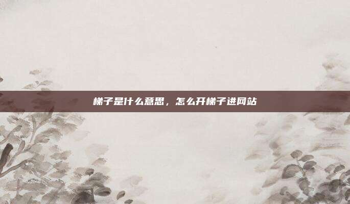 梯子是什么意思，怎么开梯子进网站
