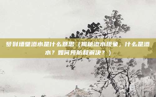 梦到墙壁渗水是什么意思（揭秘渗水现象，什么是渗水？如何预防和解决？）