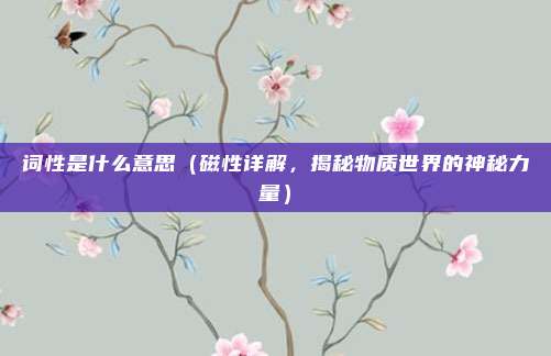 词性是什么意思(磁性详解,揭秘物质世界的神秘力量)