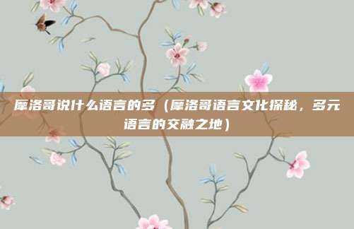 摩洛哥说什么语言的多(摩洛哥语言文化探秘,多元语言的交融之地)