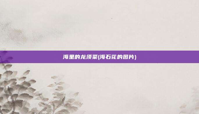 海里的龙须菜(海石花的图片)
