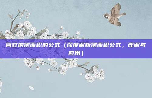 圆柱的侧面积的公式(深度解析侧面积公式,理解与应用)