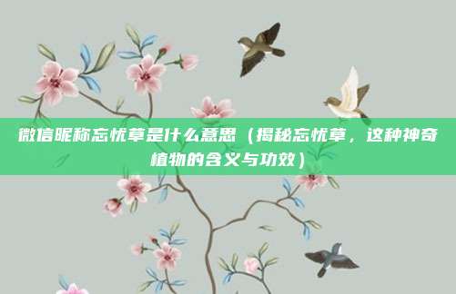 微信昵称忘忧草是什么意思(揭秘忘忧草,这种神奇植物的含义与功效)