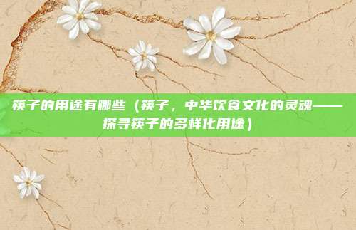 筷子的用途有哪些(筷子,中华饮食文化的灵魂——探寻筷子的多样化用途)