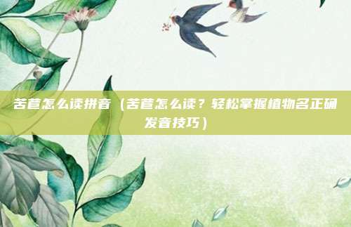 苦苣怎么读拼音(苦苣怎么读?轻松掌握植物名正确发音技巧)