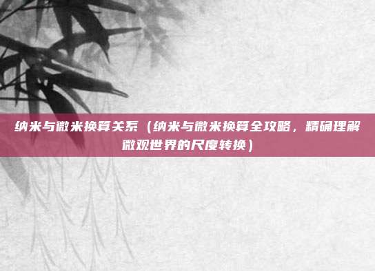 纳米与微米换算关系(纳米与微米换算全攻略,精确理解微观世界的尺度转换)