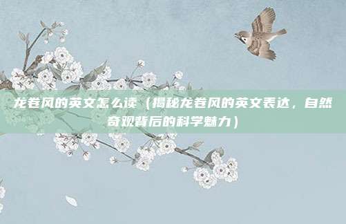 龙卷风的英文怎么读(揭秘龙卷风的英文表达,自然奇观背后的科学魅力)
