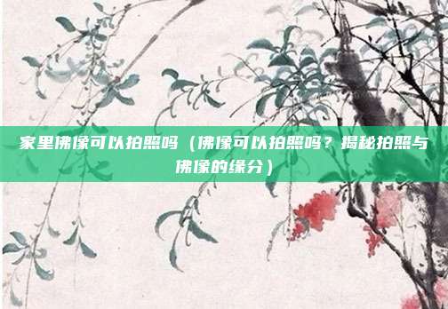 家里佛像可以拍照吗(佛像可以拍照吗?揭秘拍照与佛像的缘分)