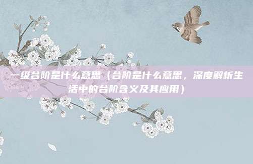 一级台阶是什么意思(台阶是什么意思,深度解析生活中的台阶含义及其应用)