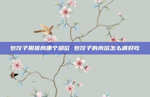 包饺子用猪肉哪个部位 包饺子的肉馅怎么调好吃