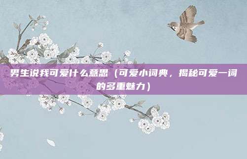 男生说我可爱什么意思(可爱小词典,揭秘可爱一词的多重魅力)