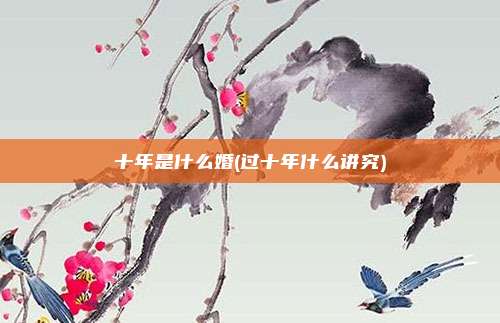 十年是什么婚(过十年什么讲究)