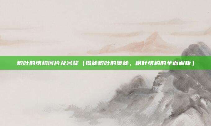 树叶的结构图片及名称(揭秘树叶的奥秘,树叶结构的全面解析)