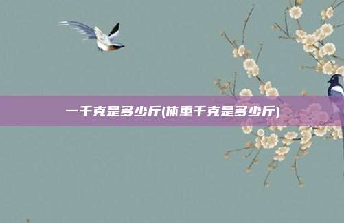 一千克是多少斤(体重千克是多少斤)
