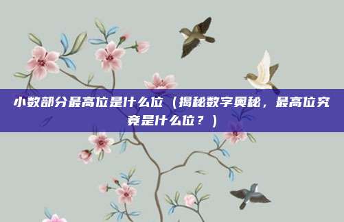 小数部分最高位是什么位(揭秘数字奥秘,最高位究竟是什么位?)