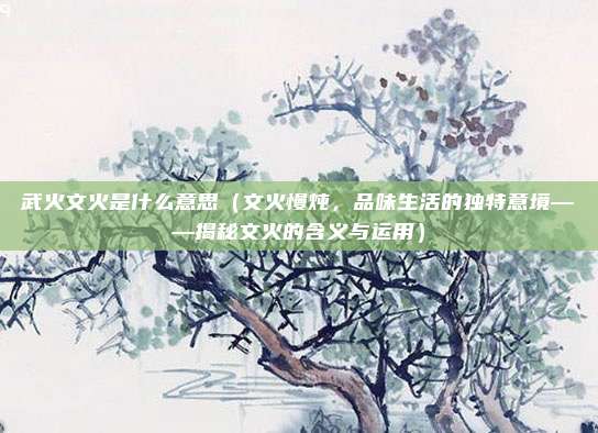 武火文火是什么意思(文火慢炖,品味生活的独特意境——揭秘文火的含义与运用)