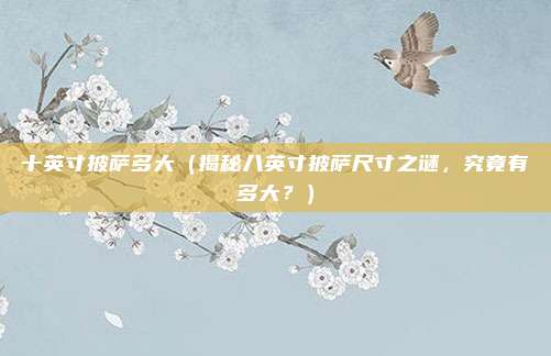 十英寸披萨多大(揭秘八英寸披萨尺寸之谜,究竟有多大?)
