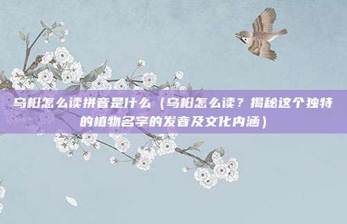 乌桕怎么读拼音是什么(乌桕怎么读?揭秘这个独特的植物名字的发音及文化内涵)