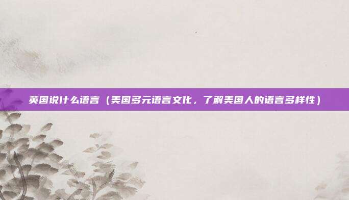 英国说什么语言(美国多元语言文化,了解美国人的语言多样性)