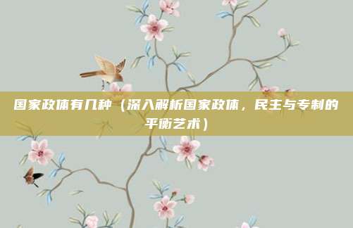 国家政体有几种(深入解析国家政体,民主与专制的平衡艺术)