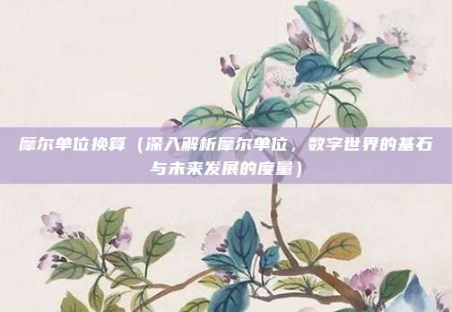 摩尔单位换算(深入解析摩尔单位,数字世界的基石与未来发展的度量)