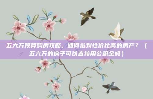 五六万预算购房攻略,如何选到性价比高的房产?(五六万的房子可以直接用公积金吗)